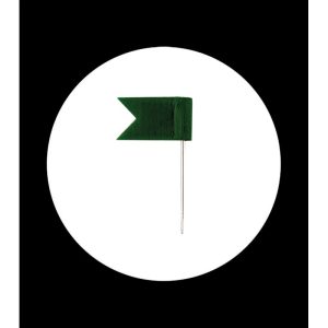 Pins bandera verde