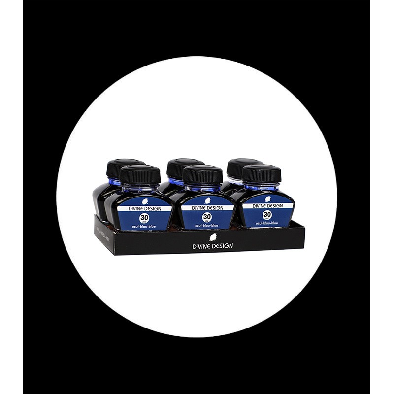 pack 6 ink bottles 30 ml blue