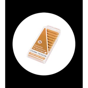 12 standard ink cartridges for fountain pen orange