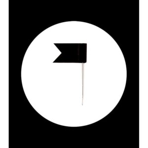black flag pin