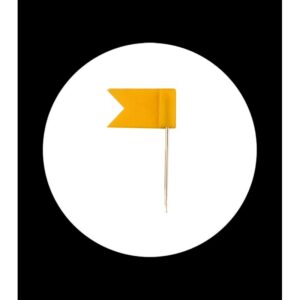 yellow flag pin