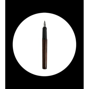 fountain pen made of wengue wood in gift box